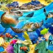 set pintura diamantes art gem 5d lamina 30x40cms modelo tortugas 022d 0