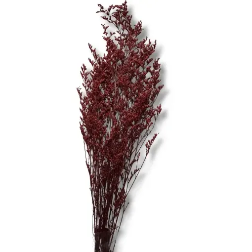 follaje caspia flores secas ramo 80cms fs2726 color rojo 0