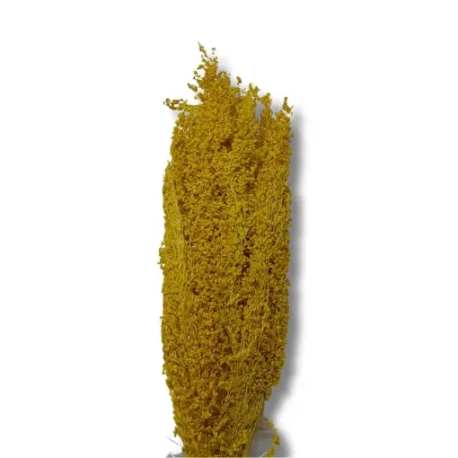 follaje flores secas espiga ramo 50cms codigo fs2732 color amarillo 0