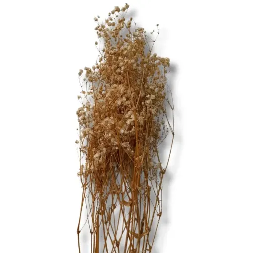follaje flores secas ramo 60cms codigo fs2730 color blanco 0