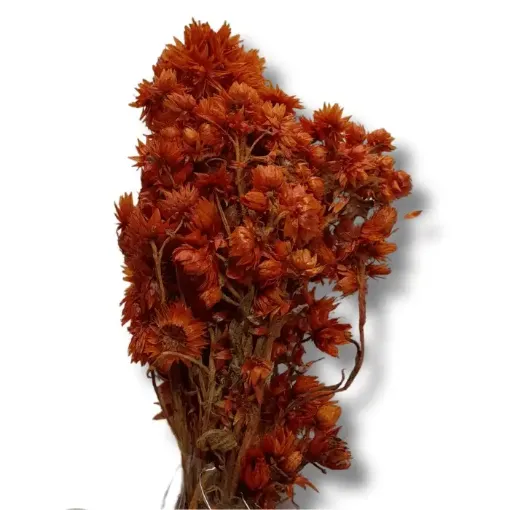 follaje flores secas ramo 30cms codigo fs2941 color naranja 0