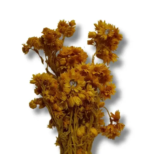 follaje flores secas ramo 30cms codigo fs2941 color amarillo 0