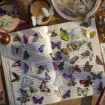 apliques pegatinas adhesivas impermeables mariposas 20 50mms set x40 violetas 3