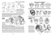 libro animales como dibujar su forma movimiento por kack hamm editorial ggdiy 128pag 20 5x27 5cms 2