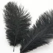 plumas avestruz 15 20cms x10 unidades color negro 0