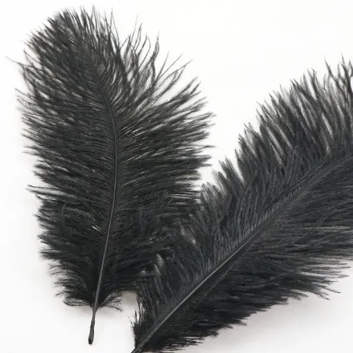 plumas avestruz 15 20cms x10 unidades color negro 0