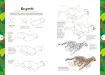 libro dibujar 10 pasos animales por heather kilour editorial librero 128pags 16 5x23 5cms 1