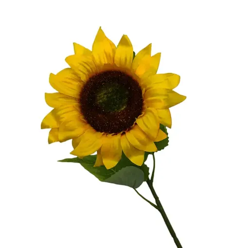 vara girasol 60cms altura un girasol 18cms 0