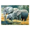 set pintura diamantes art gem 5d lamina 30x40cms modelo elefantes 01 0