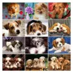 set pintura diamantes art gem 5d lamina 30x40cms modelo perritos 27 1