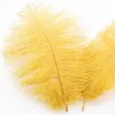 plumas avestruz 15 20cms x10 unidades color oro 0