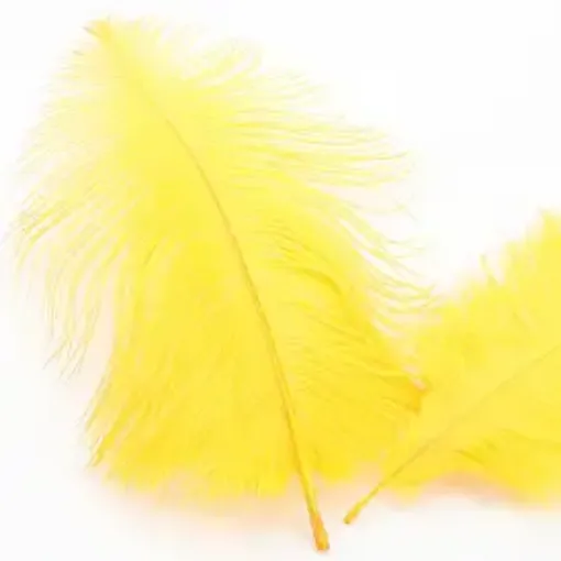 plumas avestruz 15 20cms x10 unidades color amarillo 0