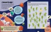 libro infantil actividades coleccion colorea por numeros mas 350 stickers 16pags dinosaurios 7