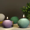molde acrilico transparente para velas resina epoxi modelo shell ostra concha marina 61x32x47mms 3