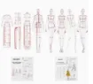 reglas acrilico flexible francesas multifuncional para realizar patrones humanoide costura set x9 0