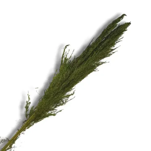 follaje flores secas celofan ramo 110cms fs2944 color verde 0