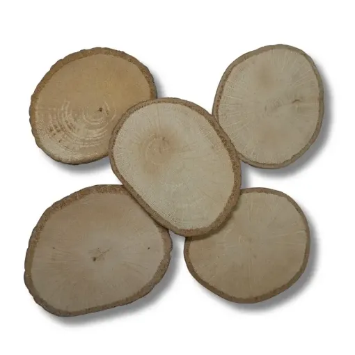 rodajas tronquitos madera roble nacional 6 9cms por 5 unidades surtidas 0