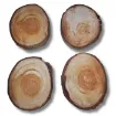 rodajas tronquitos madera alamo nacional 10 5 14cms por unidad 0
