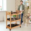 carrito rodante profesional para suministros arte madera maciza haya meeden 3 cajones 7