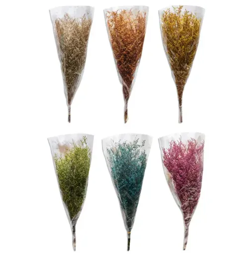 ramo flores secas silvestres caspia 70cms variedad colores 0