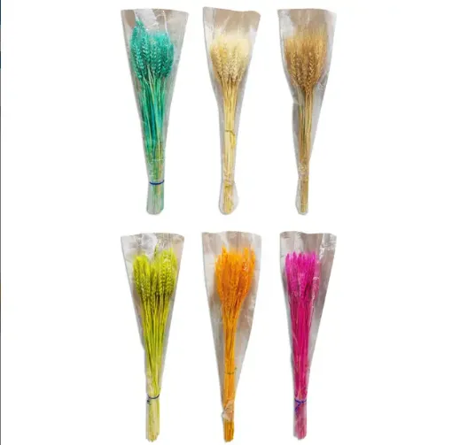 ramo flores secas espiga trigo ramo 55cms variedad colores 0