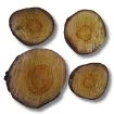 rodaja tronquito madera alamo nacional 16 20cms aprox por unidad 0