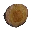 rodaja tronquito madera alamo nacional 16 20cms aprox por unidad 1