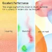 set 24 acuarelas premium pomo 12ml watercolor paint meeden 4