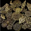 apliques vintage metal filigranas conectores 60mms color bronce antiguo x10 unidades surtidas 3