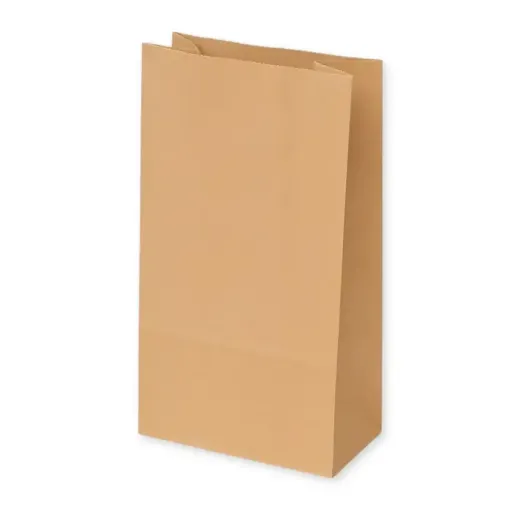 bolsa papel kraft lisa marron sin asas 16x9x21cms por 10 unidades 0