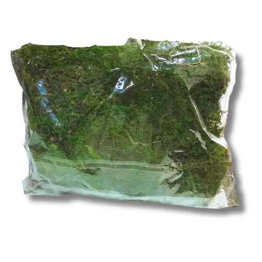 musgo natural importado verde oscuro bolsa mediana 100grs 0