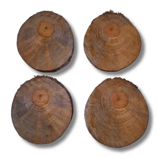 rodaja tronquito madera pino nacional 10 5 15cms aprox por unidad 0