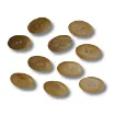 botones artesanales madera guatambu nacional forma oval medida 15x25mms por 10 unidades 0