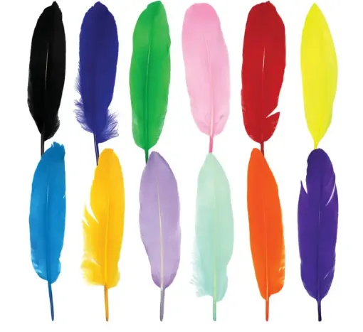 set para manualidades crearte plumas colores por 50 unidades variadas 0