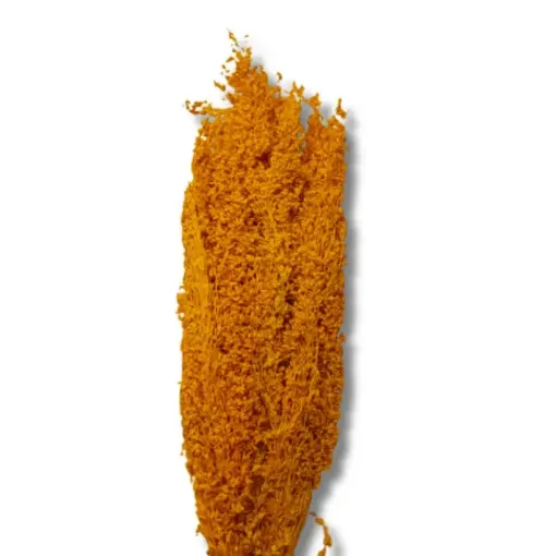 follaje flores secas espiga ramo 50cms codigo fs2732 color naranja 0
