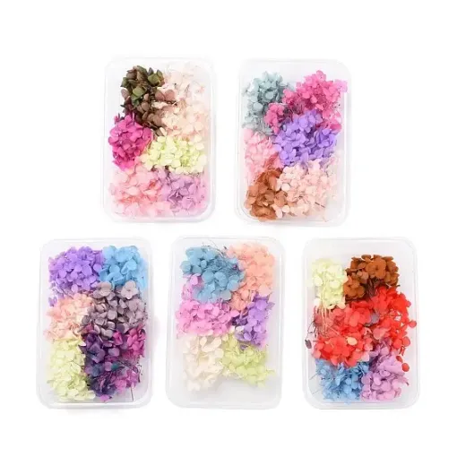 flores secas caja plastico 170x117x29mms 0