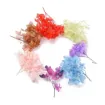 flores secas caja plastico 170x117x29mms 2