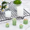 set 4 moldes silicona para resina epoxi velas motivo cactus x4 modelos accesorios 3