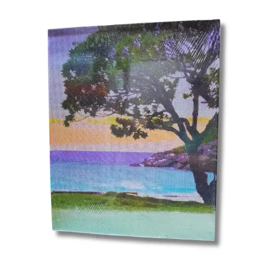 pintura diamantes 5d bastidor 40x50cms motivo park 0