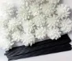 varilla ratan difusoras 20cms negras flor 4 5cms blanca para hornito esencias set x5 varas 1