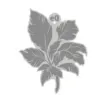 sello decorativo sobre relieve eq 17cms coleccion jardin botanico modelo 2514 0