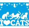 stencil marca litoarte 17 x 21 cm cod stm 771 i love cats 0