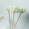 varilla ratan difusoras 20cms flor 4 5cms blanca para hornito esencias set x10 varas 0