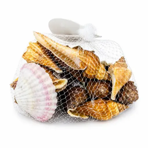 caracoles naturales red modelo caracolas mar grandes rc1060 0