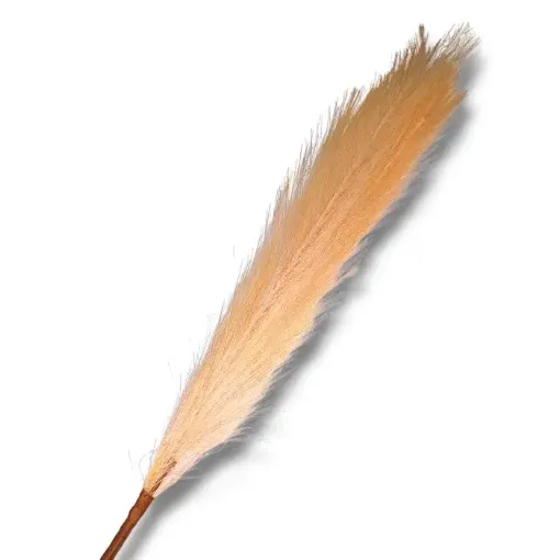 follaje flores secas vara 60cms cola zorro color salmon 0