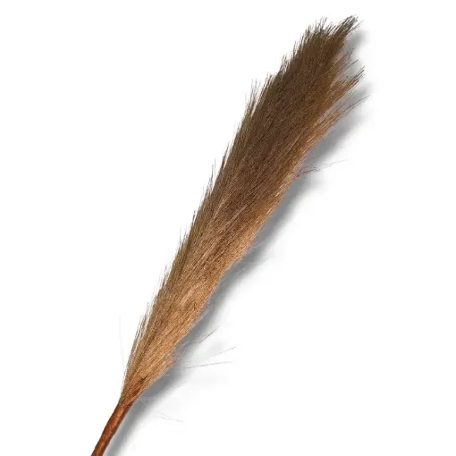 follaje flores secas vara 60cms cola zorro color marron 0