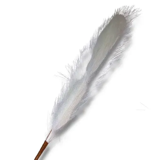 follaje flores secas vara 60cms cola zorro color blanco 0