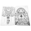 libro para colorear adultos me relajo coloreando x32 paginas 20x28cms school fun tapa animales aire 2