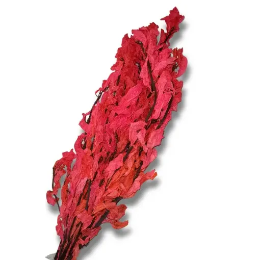 ramo follaje seco laurel color rosado 0