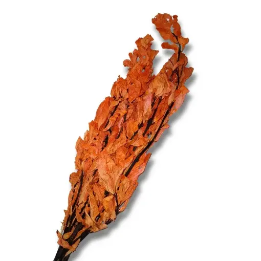 ramo follaje seco laurel color naranja 0